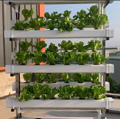 水耕蔬菜設備