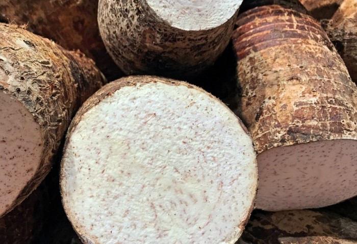 發芽芋頭有毒嗎