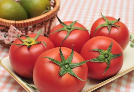 牛番茄栽培方法