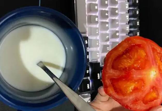 番茄牛奶副作用
