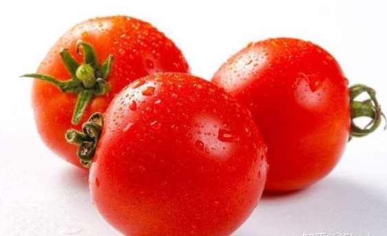 番茄減肥食譜