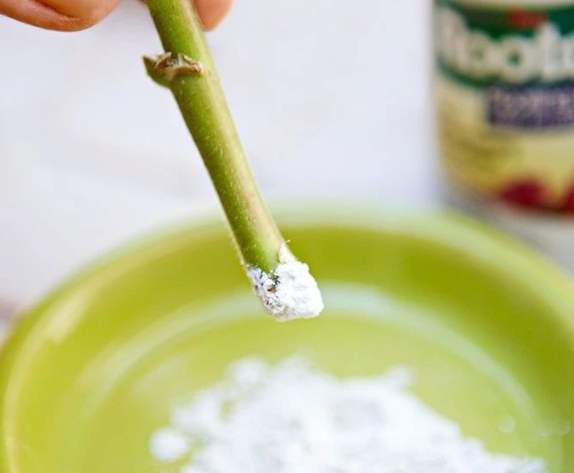 生根粉使用方法