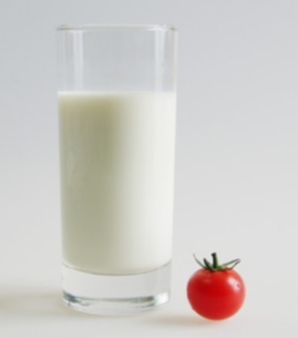 番茄牛奶食譜