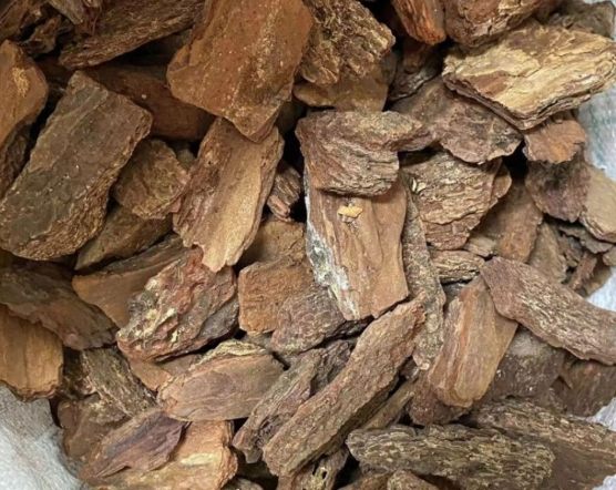 樹皮介質發霉處理