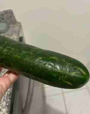 小黃瓜變白處理