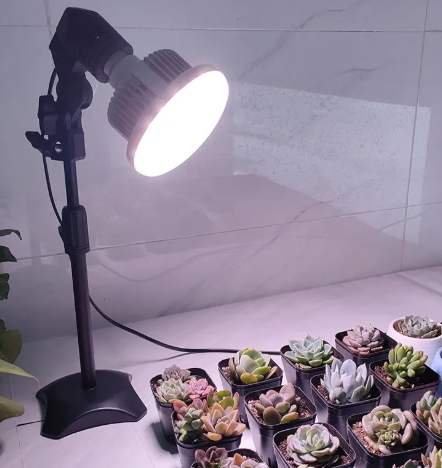 植物生長燈推薦 植物生長燈推薦