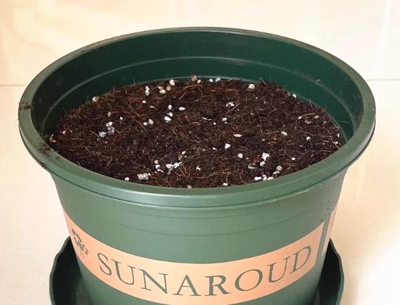 防止靚土發霉 防止靚土發霉