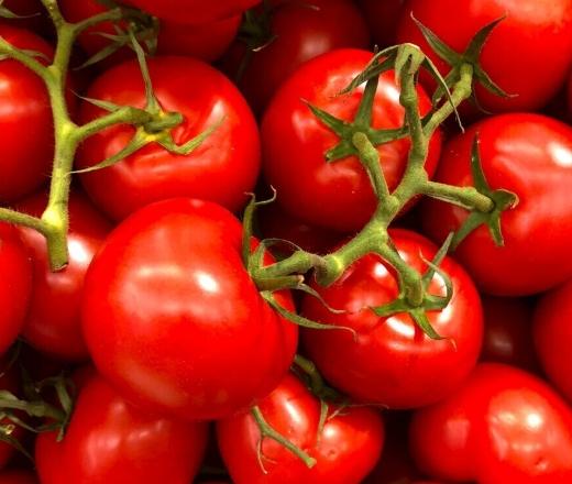 番茄剪枝方法