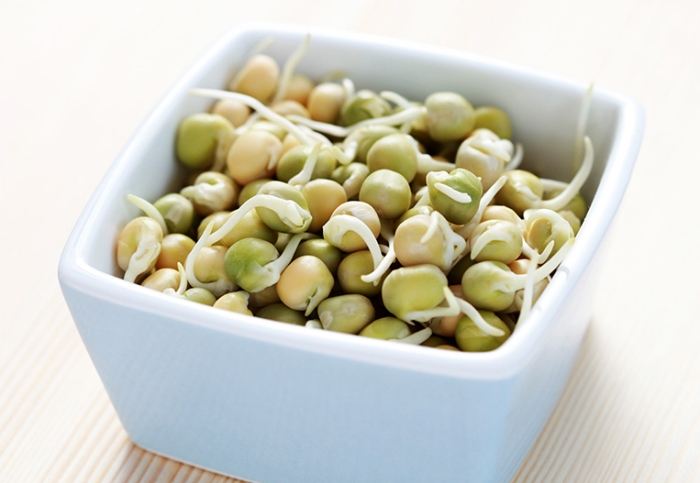 馬鈴薯發芽有毒