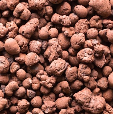 發泡煉石園藝用途 發泡煉石園藝用途