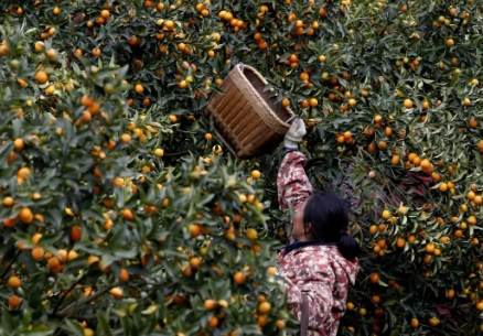 高壓法步驟 高壓法步驟