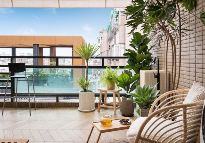 新手陽台植物 新手陽台植物