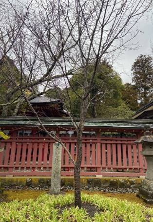 東北七日遊行程