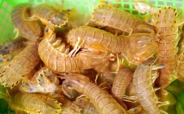 皮皮蝦料理食譜 皮皮蝦料理食譜