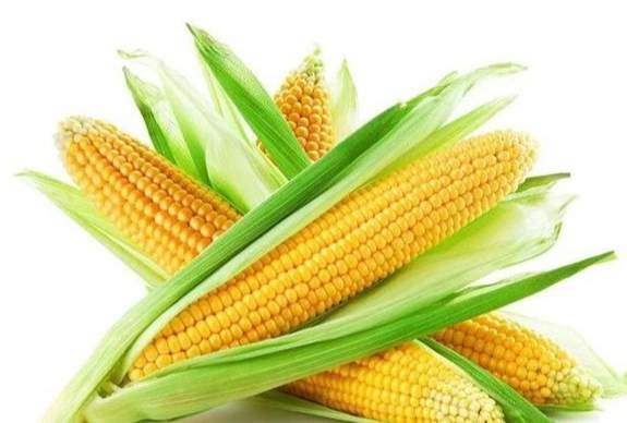 玉米營養價值