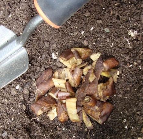 堆肥發霉處理 堆肥發霉處理