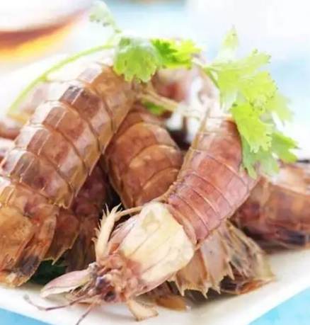 蝦蛄分類 蝦蛄分類