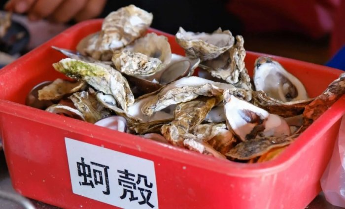 七股烤蚵體驗 七股烤蚵體驗