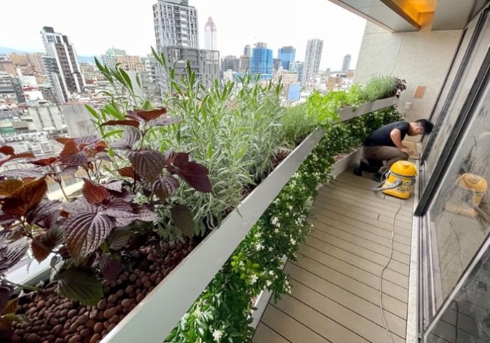 台灣耐濕植物 台灣耐濕植物