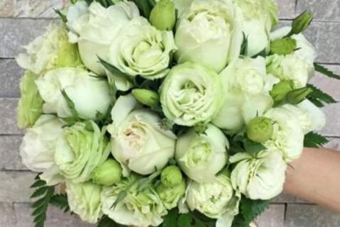 洋桔梗花語綠色 洋桔梗花語綠色