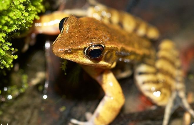 林榮新光旅遊 林榮新光旅遊