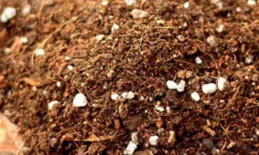 肥料發霉預防 肥料發霉預防