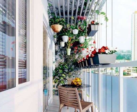 室內植物種植 室內植物種植