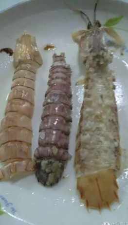 蝦蛄與蝦的區別 蝦蛄與蝦的區別