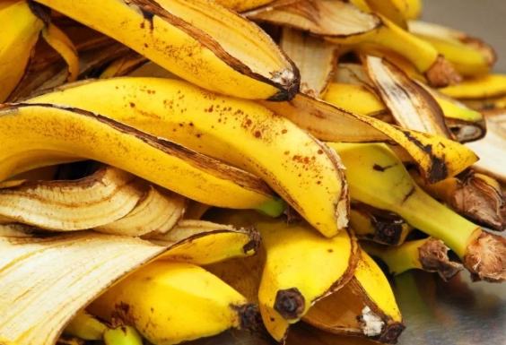 堆肥發霉處理 堆肥發霉處理