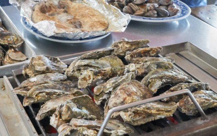 七股烤蚵體驗 七股烤蚵體驗