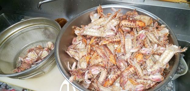 蝦蛄壽司做法 蝦蛄壽司做法