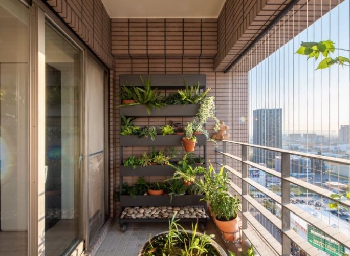 陽台種植技巧 陽台種植技巧