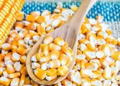 玉米是果實嗎 玉米是果實嗎