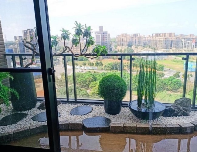 需要陽光的植物 需要陽光的植物