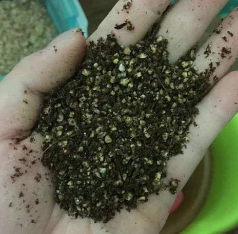 肥料發霉預防 肥料發霉預防