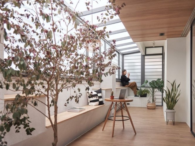 新手盆栽推薦 新手盆栽推薦