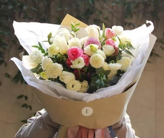 招財植物 招財植物