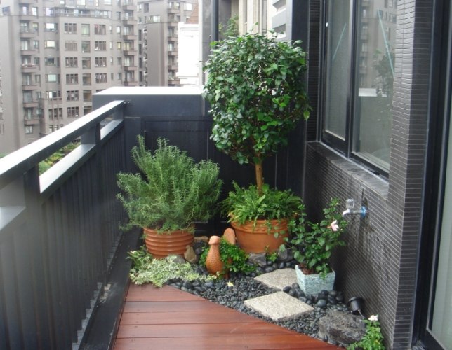 新手盆栽推薦 新手盆栽推薦