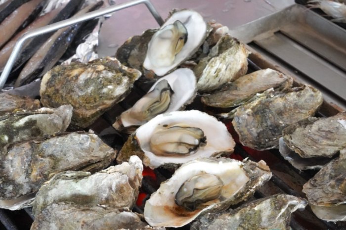 潟湖烤蚵技巧 潟湖烤蚵技巧