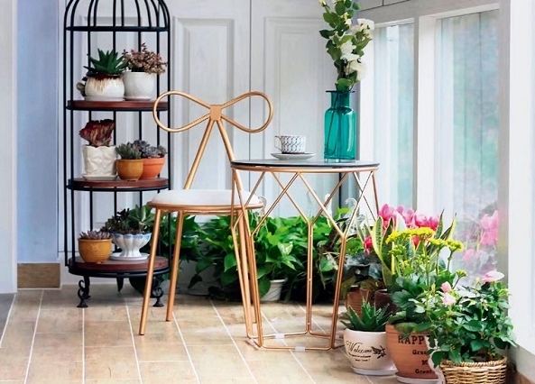 耐旱室內植物 耐旱室內植物