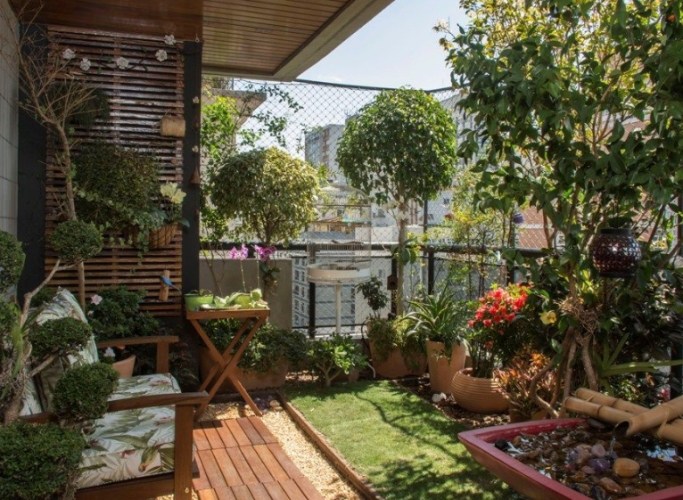 耐旱室內植物 耐旱室內植物