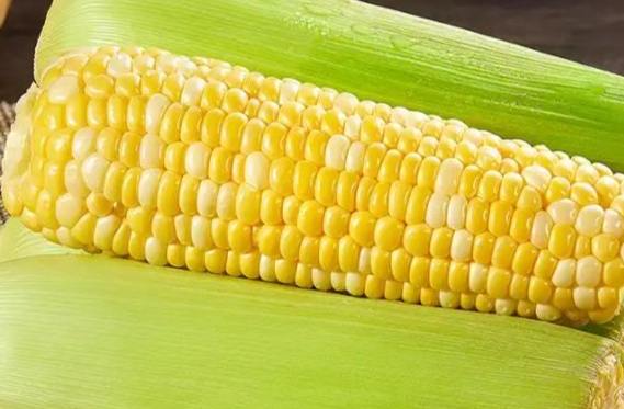 玉米應用