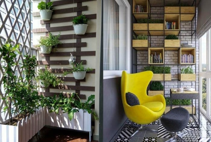 低維護植物 低維護植物