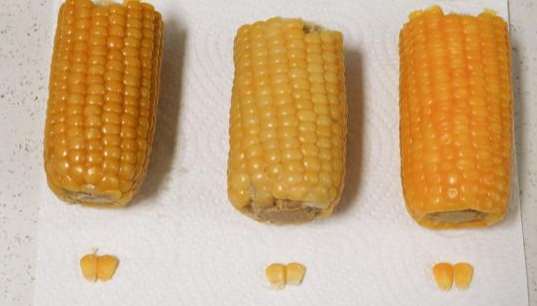 玉米和粟米差別