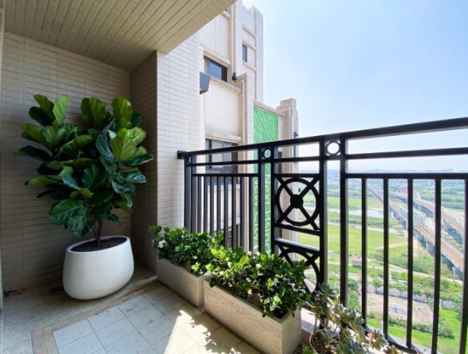 陽台植物推薦 陽台植物推薦