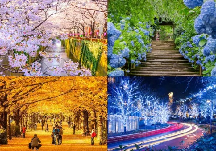 日本私房景點 日本私房景點