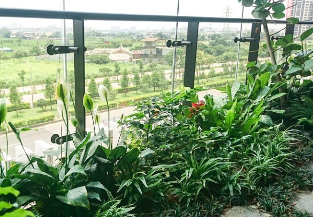 台灣耐濕植物 台灣耐濕植物