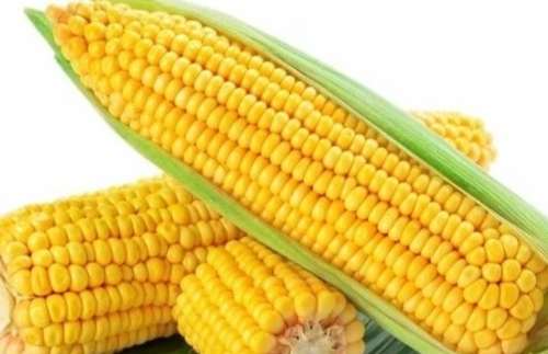 玉米好處