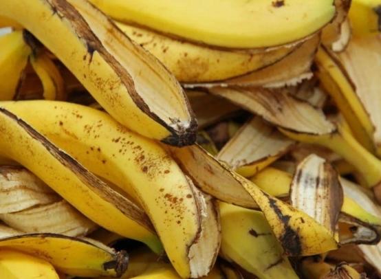 有機肥料發霉 有機肥料發霉