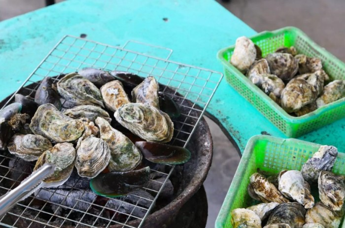 七股烤蚵體驗 七股烤蚵體驗